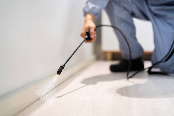 Licensed Rodent Control service in Bennett County County, SD - Nex Pest Control